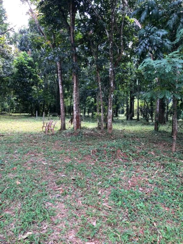 Residential Land for Sale in Dullewa