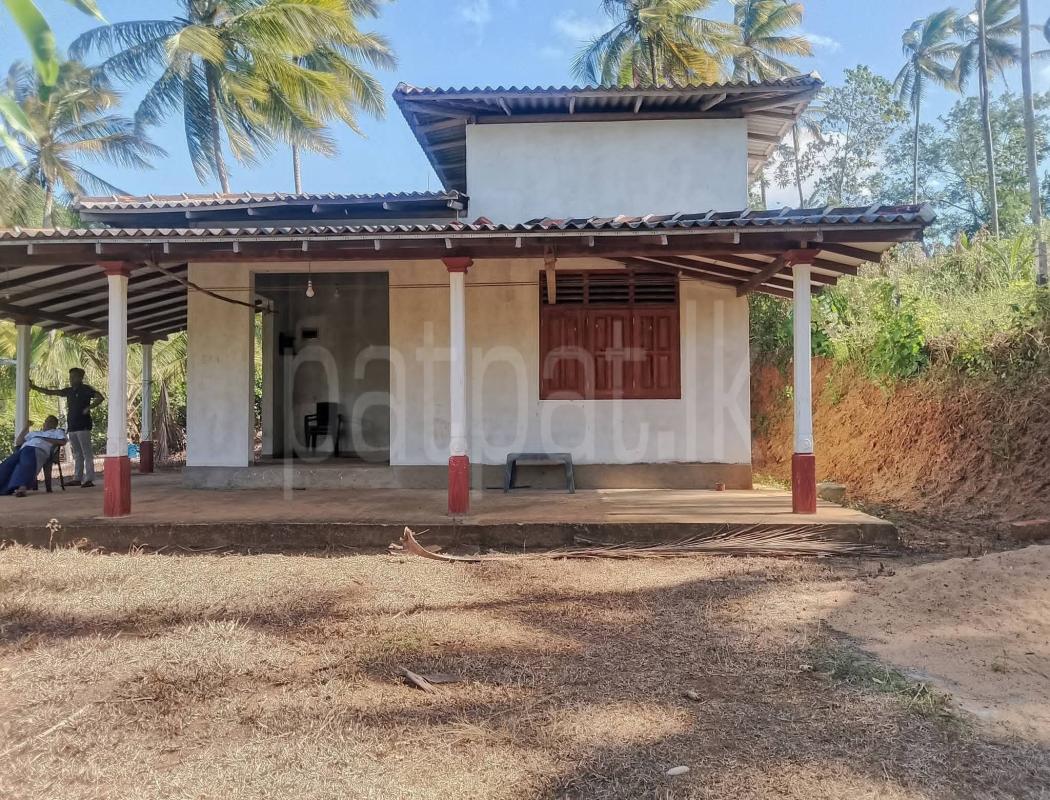 Agricultural Land for Sale in Matale ads-image-1