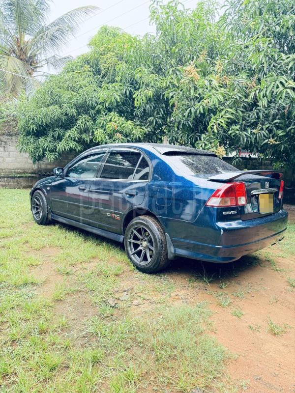 Advertisement image 4