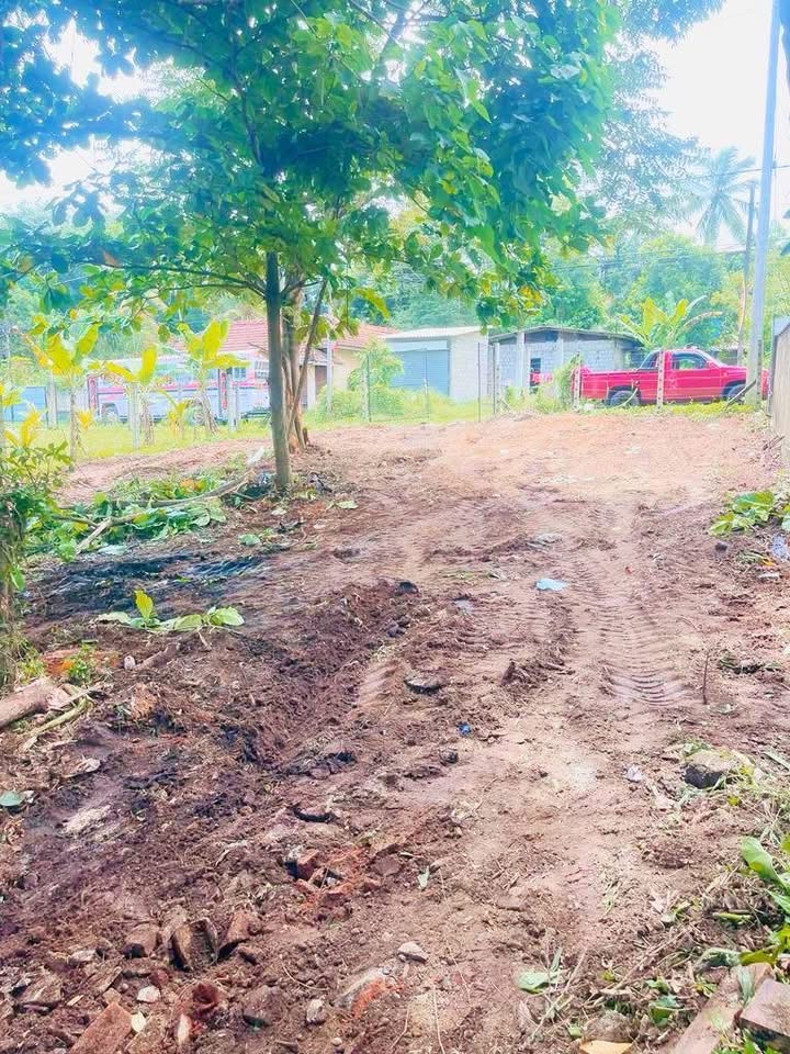 Agricultural Land for Sale in Panadura