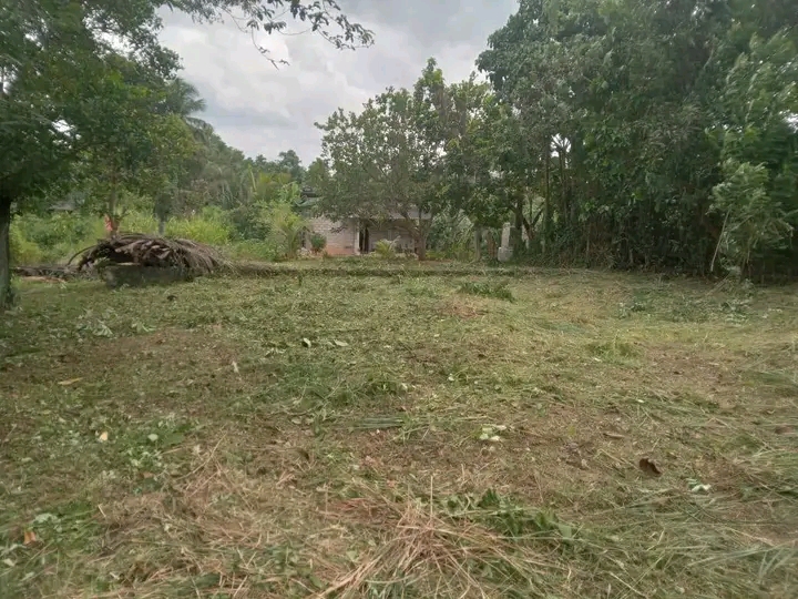 Commercial Land for Sale in Veyangoda
