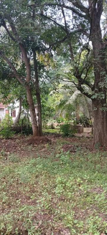 Commercial Land for Sale in Kataragama ads-image-1