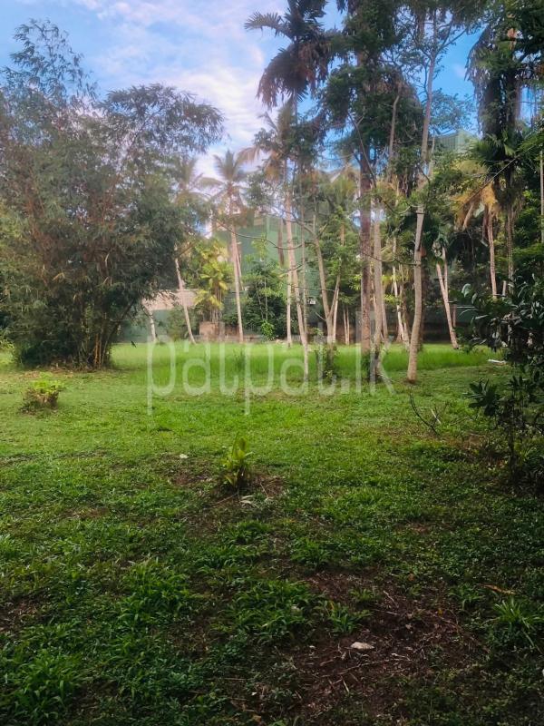 Commercial Land for Sale in Habaraduwa