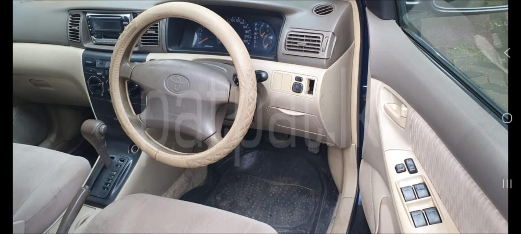 Advertisement image 6