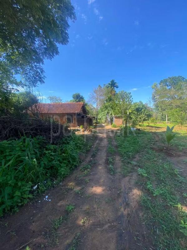 Agricultural Land for Sale in Wellawaya