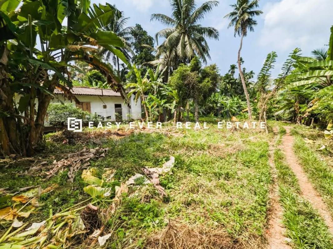 Residential Land for Sale in Kirindiwela
