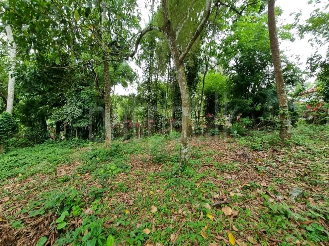 Agricultural Land for Sale in Padukka