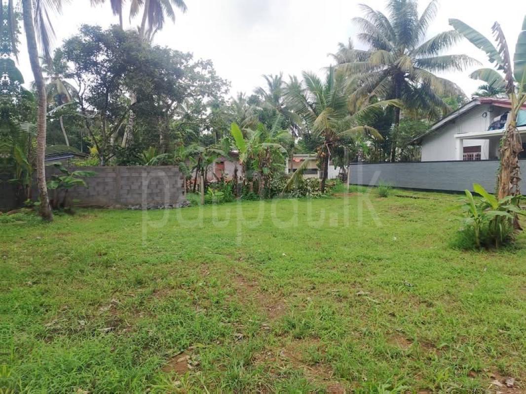 Commercial Land for Sale in Kottawa