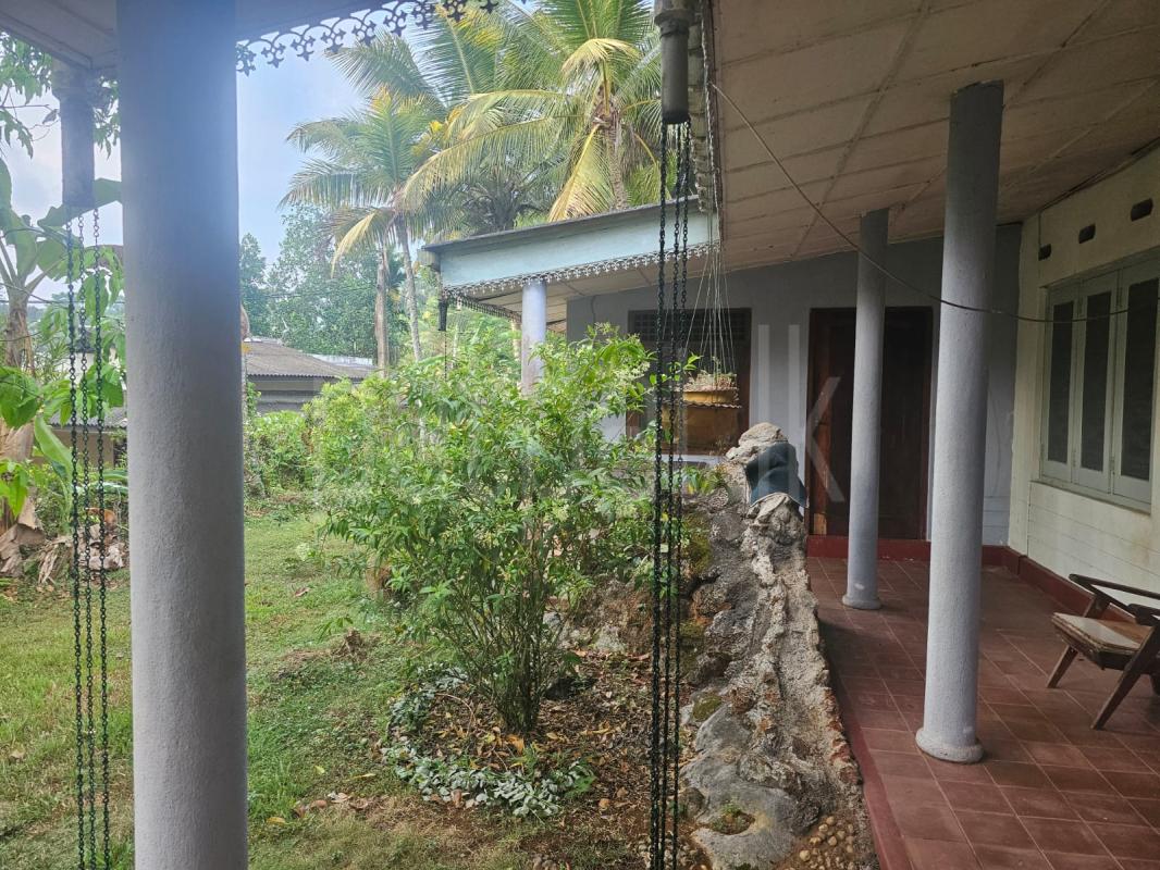 Annex for Rent in Homagama