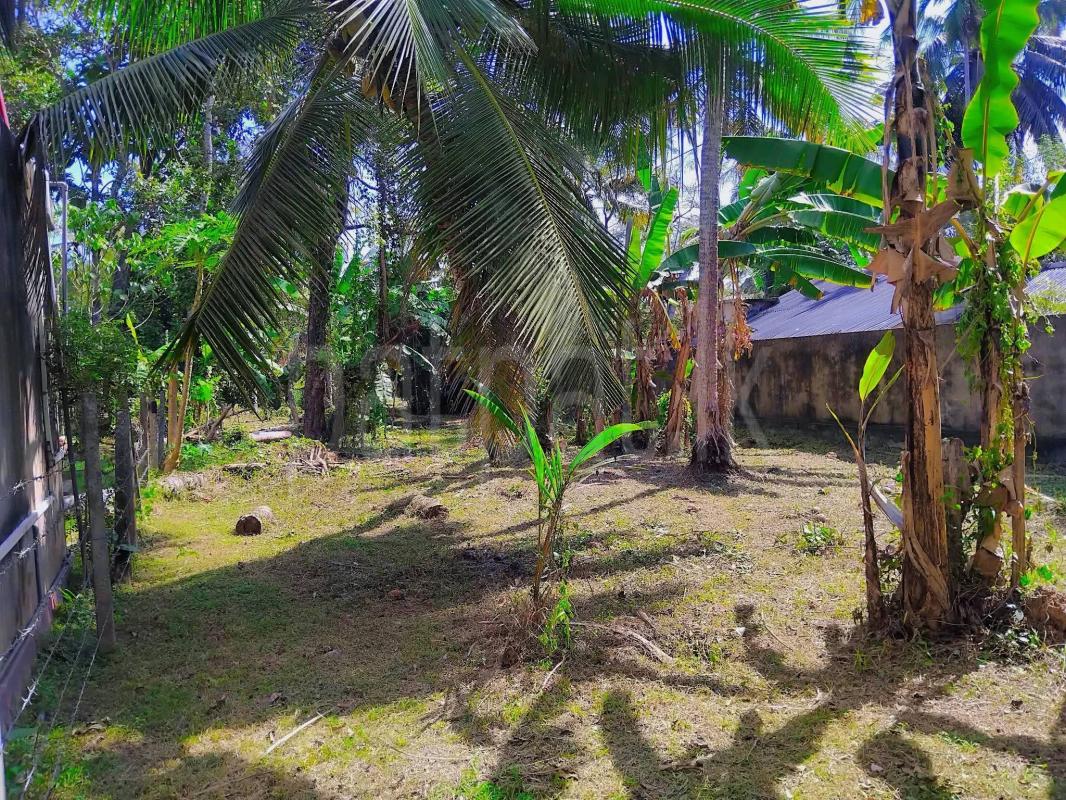 Residential Land for Sale in Kochchikade