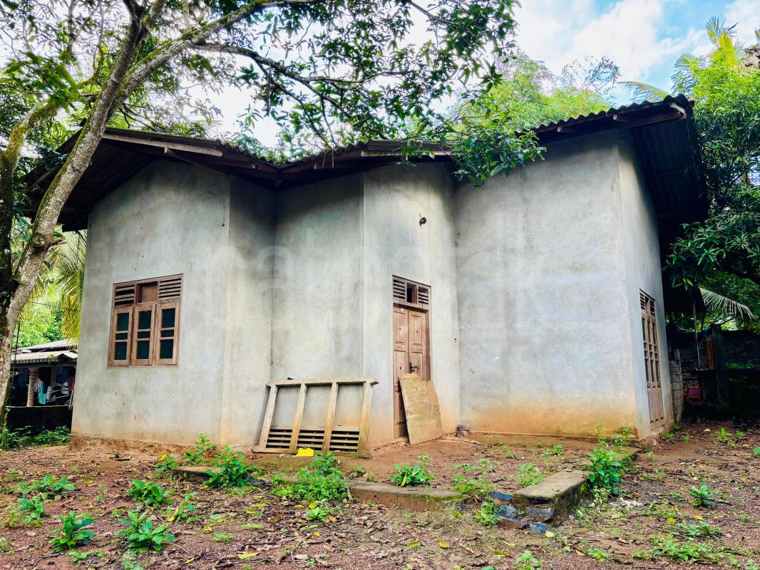 House for Sale in Weliveriya ads-image-1