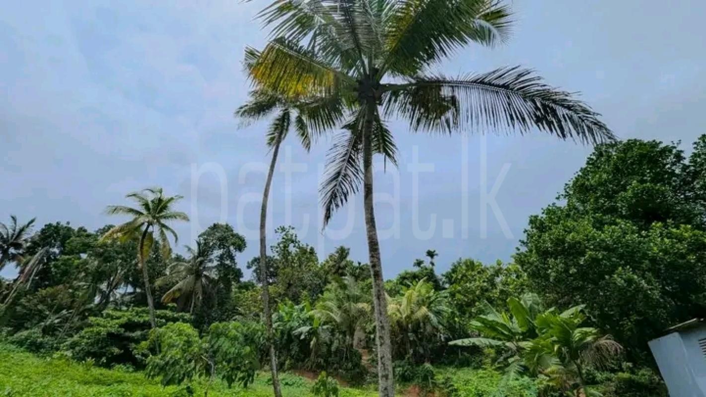 Commercial Land for Sale in Kadawatha