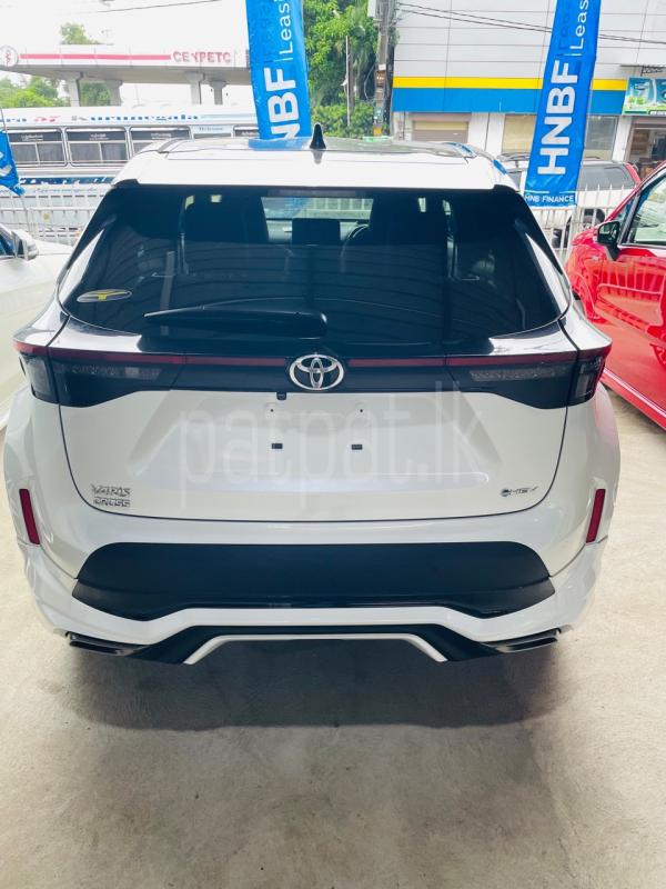 Advertisement image 3