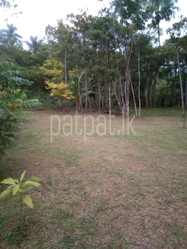 Commercial Land for Sale in Unawatuna ads-image-1