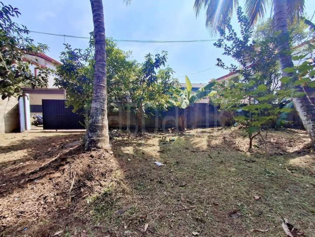 Agricultural Land for Sale in Panadura