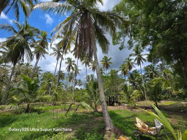 Residential Land for Sale in Divulapitiya
