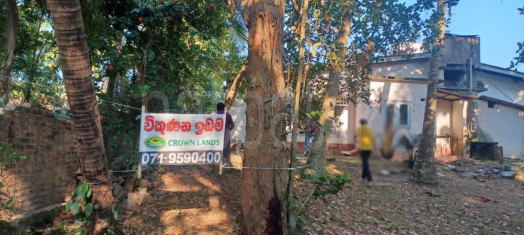 Residential Land for Sale in Kelaniya