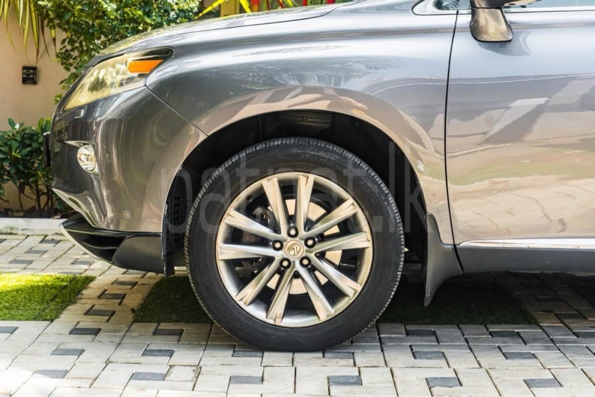 Advertisement image 6