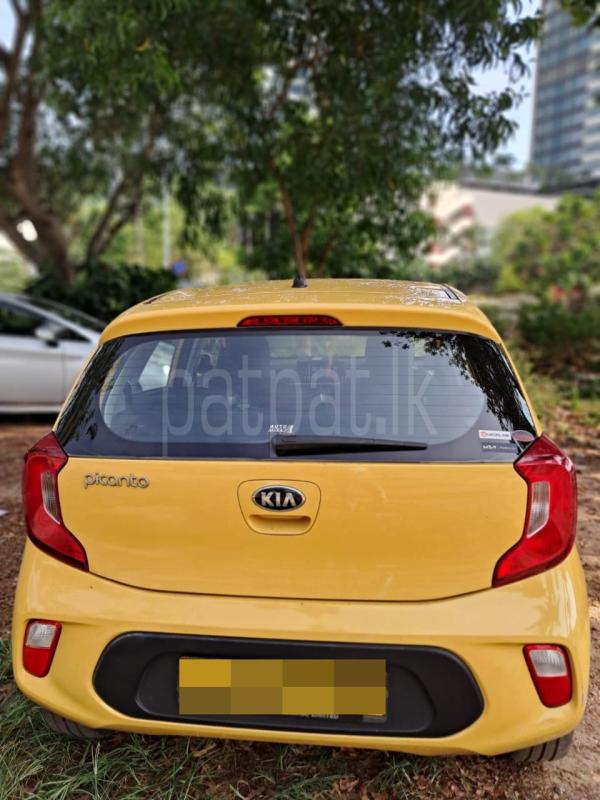 KIA Picanto 2017 - Used Car sale in Sri Lanka - patpat.lk