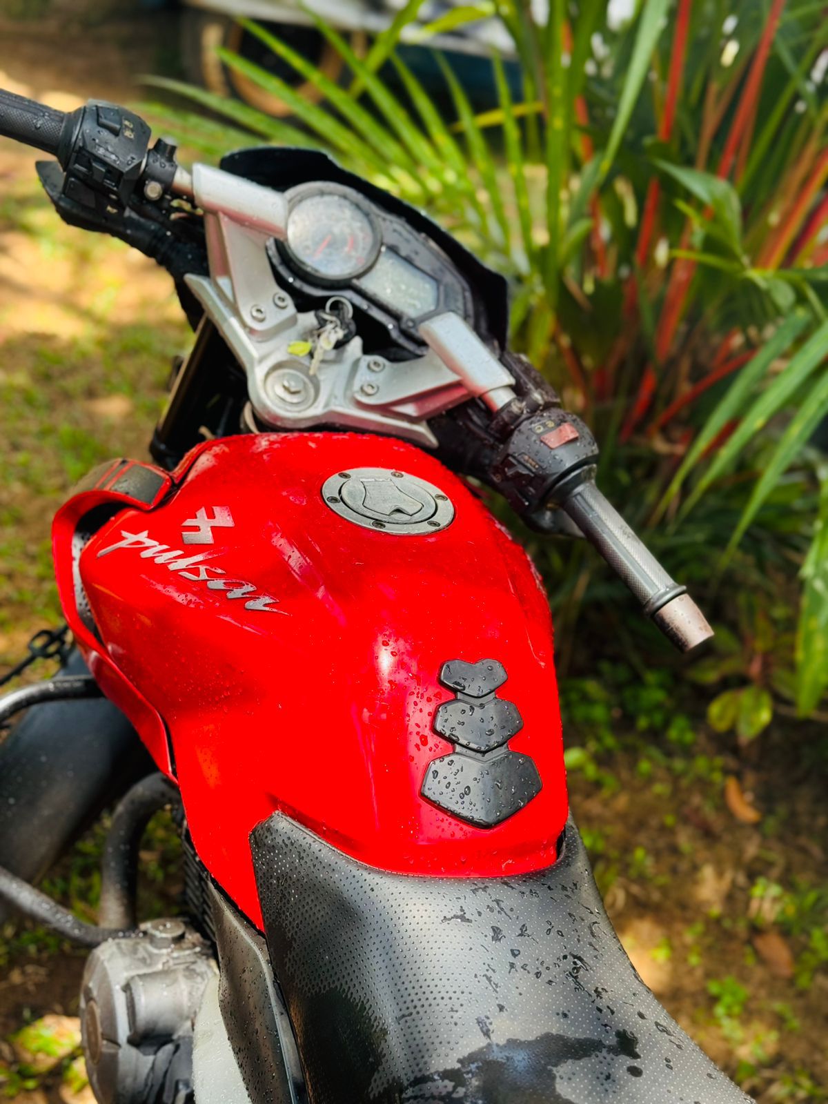 Bajaj Pulsar 2010 - Used Bike sale in Sri Lanka - patpat.lk