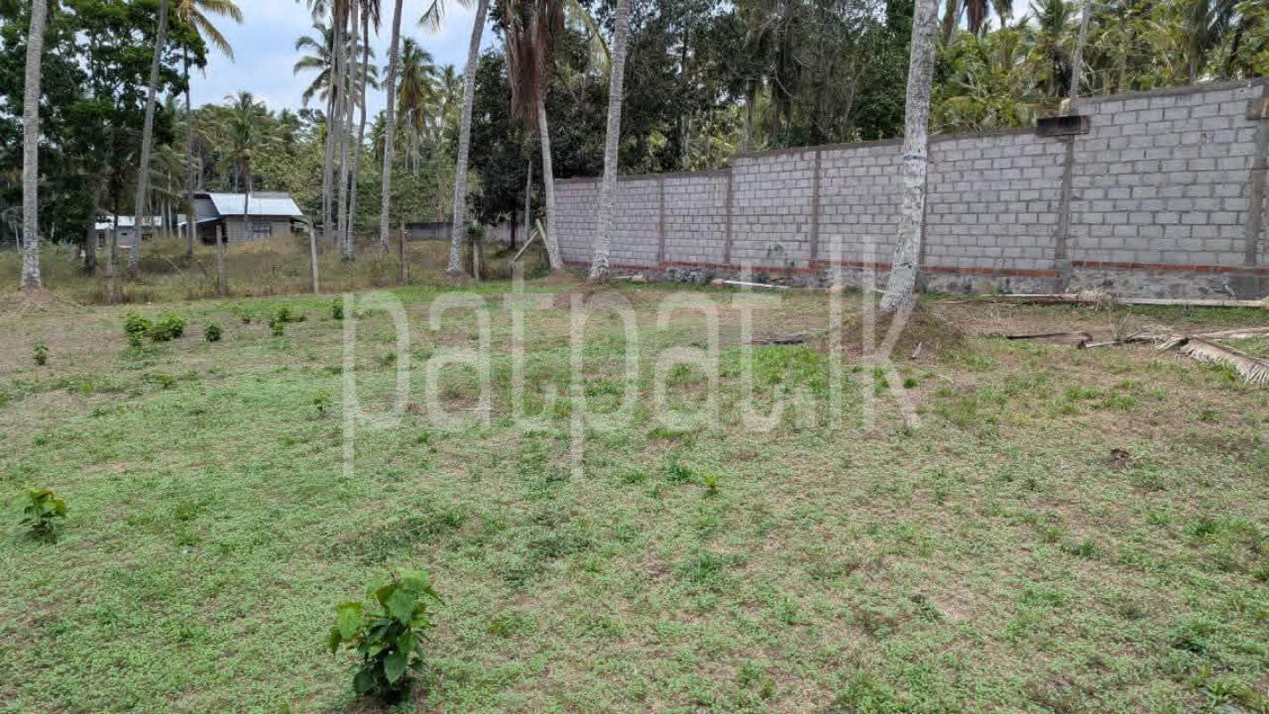 Residential Land for Sale in Dunagaha