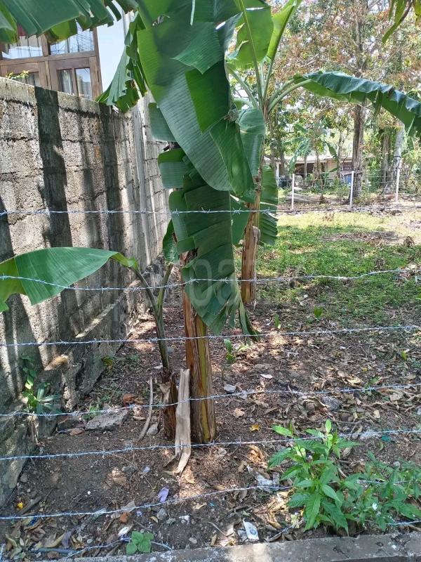 Residential Land for Sale in Maharagama ads-image-1