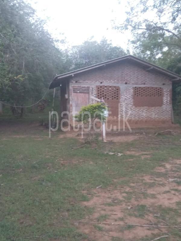 Commercial Land for Sale in Weerawila