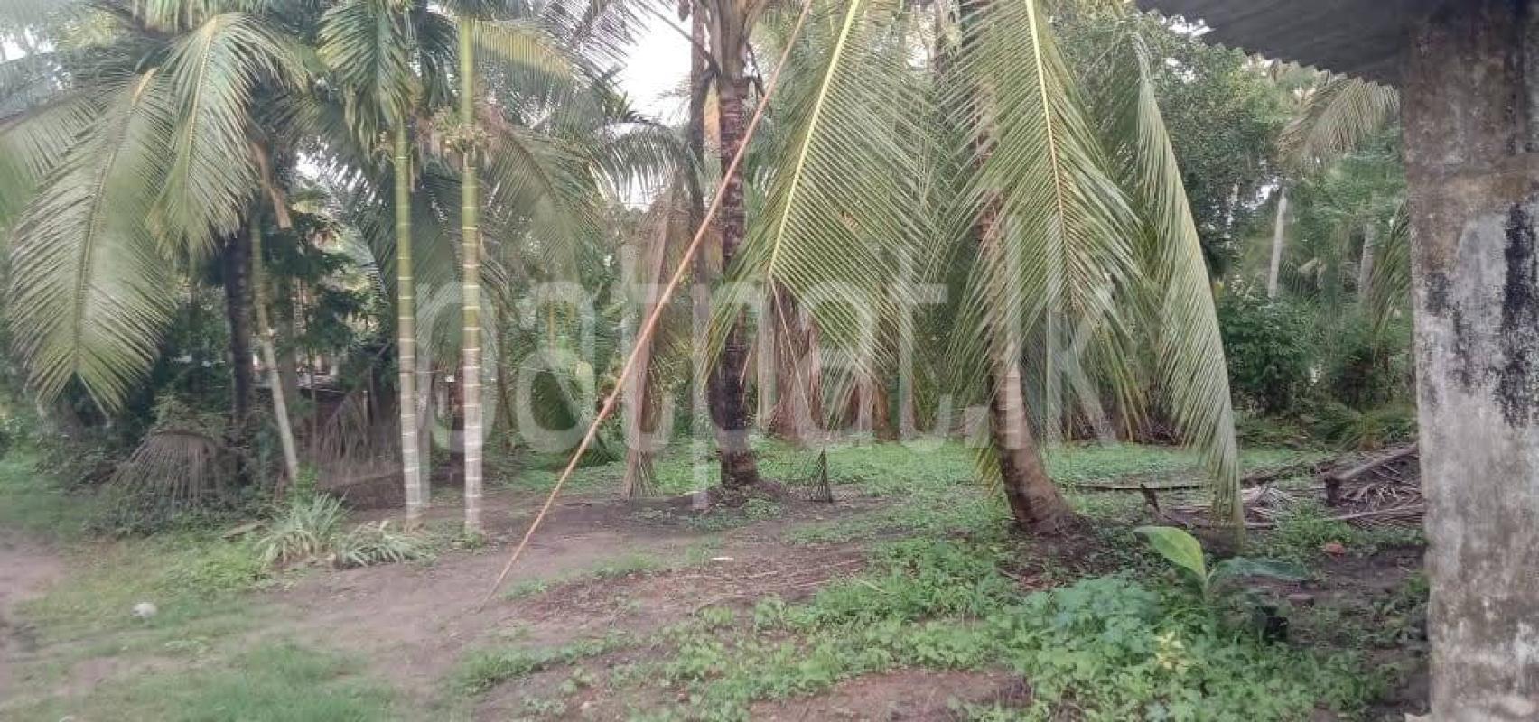 Commercial Land for Sale in Divulapitiya