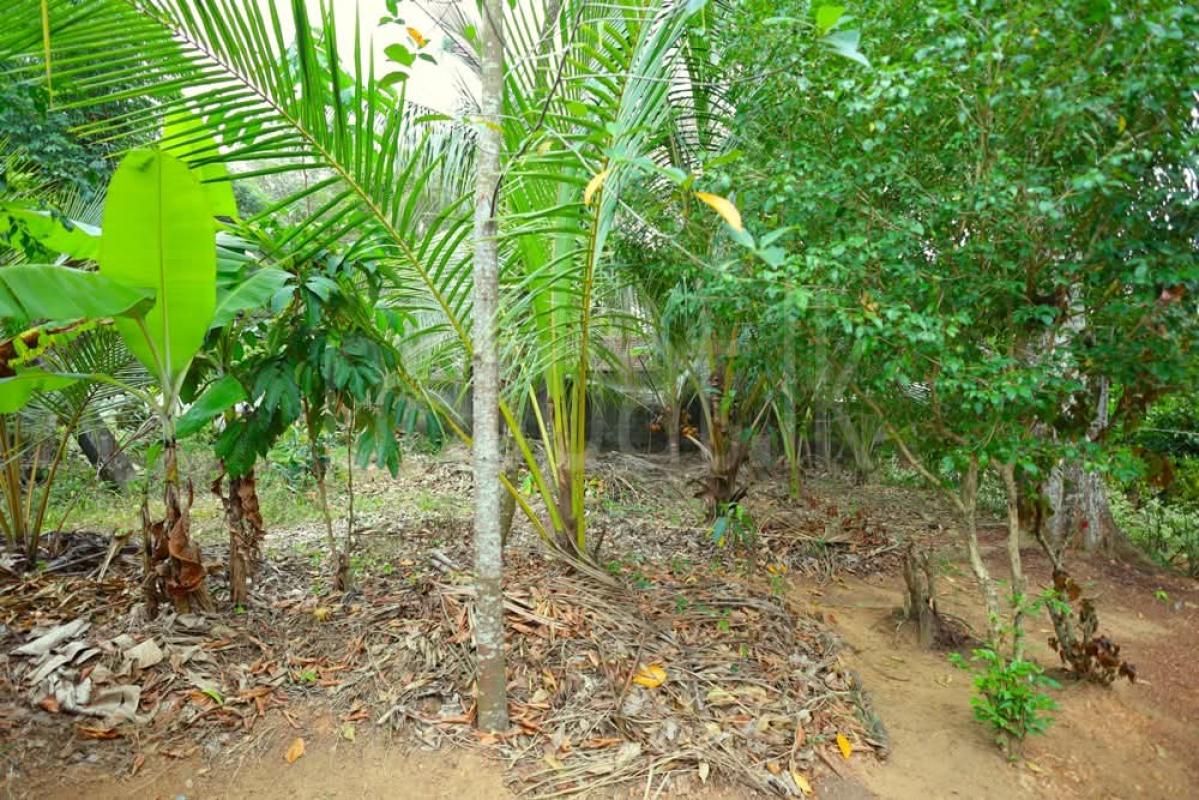 Residential Land for Sale in Kadawatha