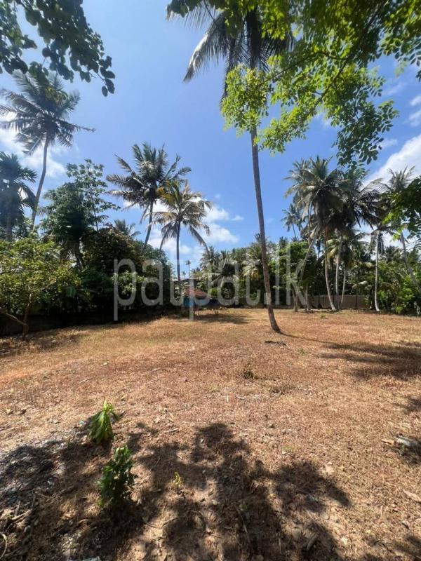 Commercial Land for Sale in Unawatuna