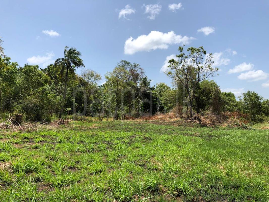 Agricultural Land for Sale in Bakamuna