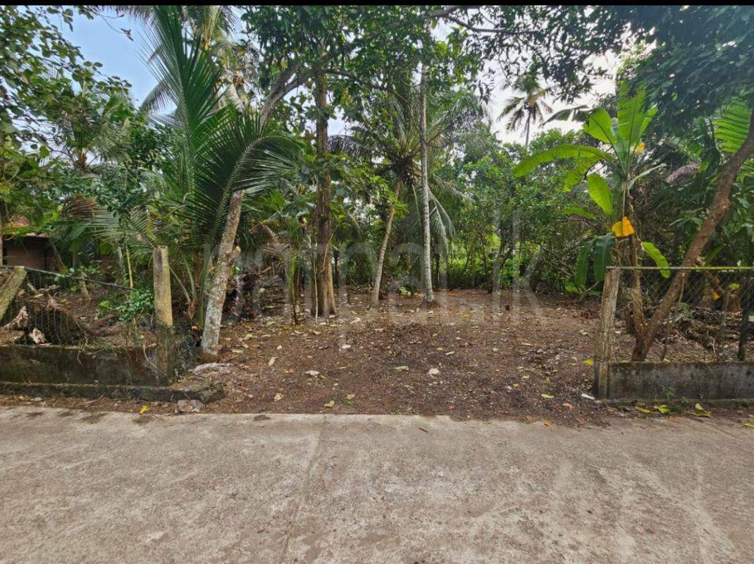 Residential Land for Sale in Gampaha