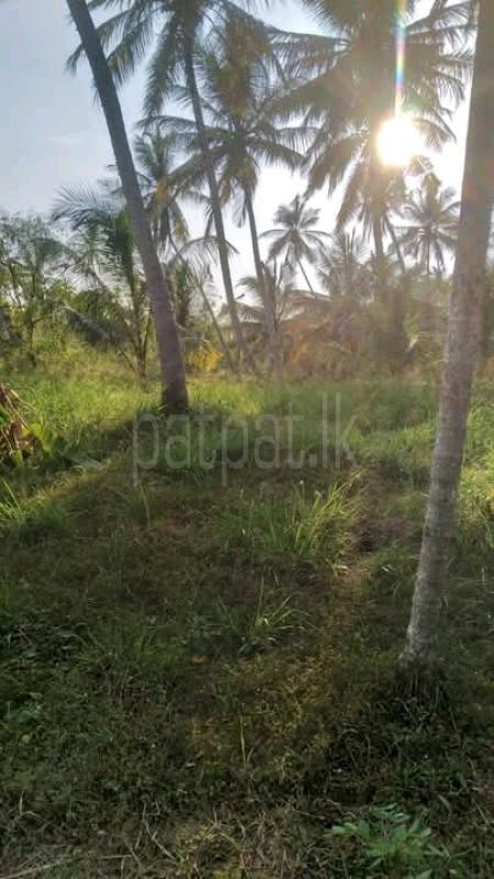 Commercial Land for Sale in Wariyapola
