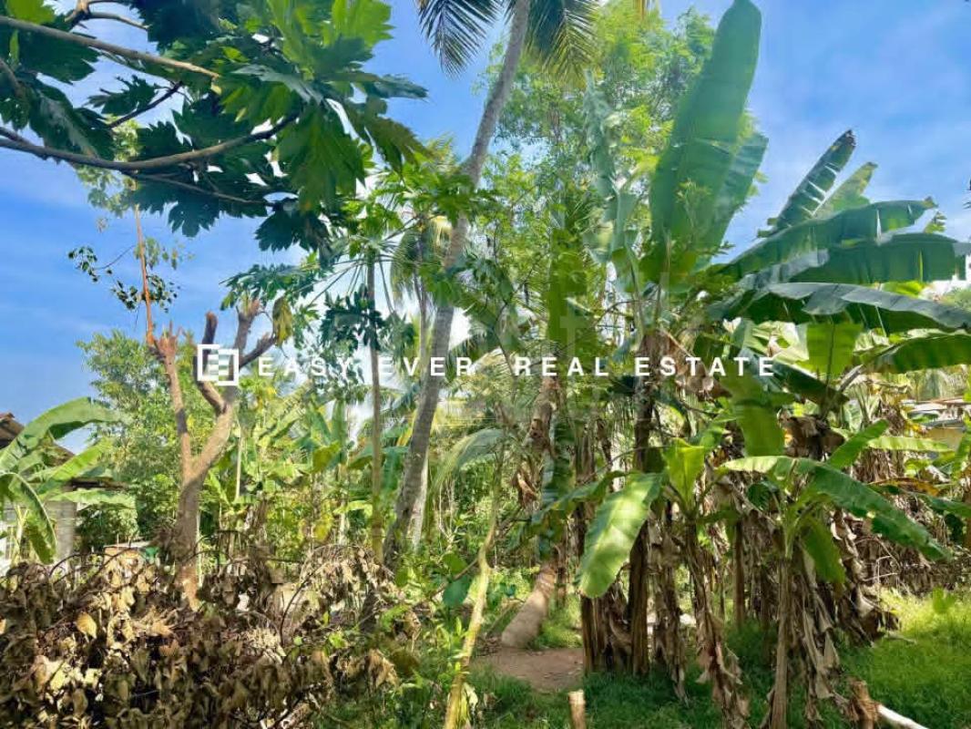 Residential Land for Sale in Kalagedihena