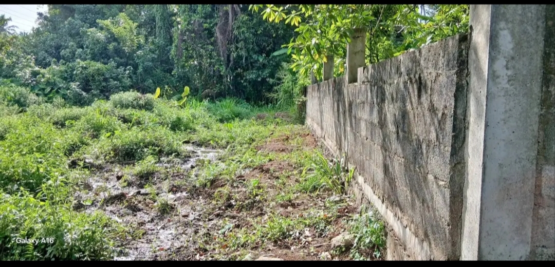 Residential Land for Sale in Horana ads-image-1