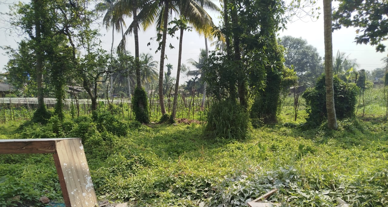 Residential Land for Sale in Beruwala