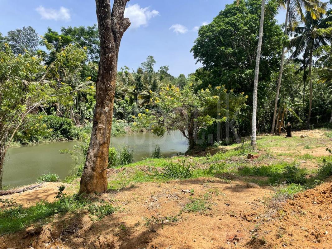 Residential Land for Sale in Balangoda