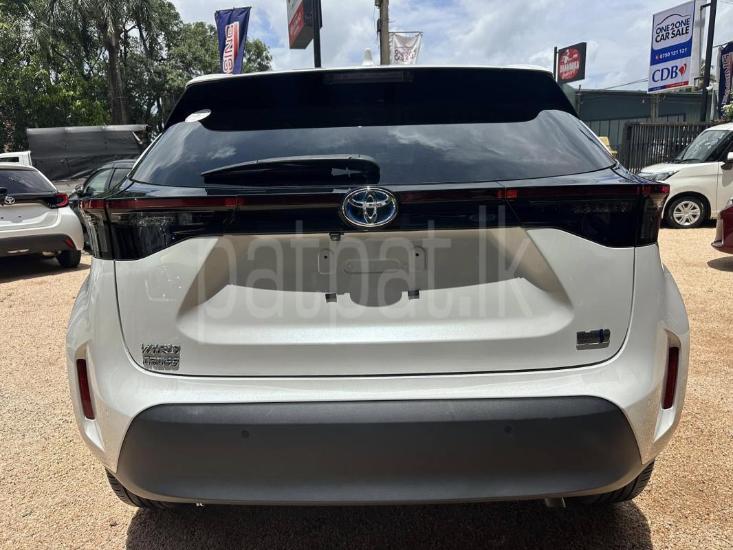 Advertisement image 6