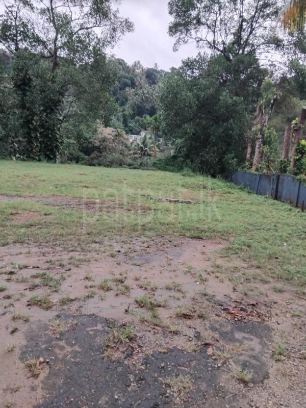 Agricultural Land for Sale in Ampitiya