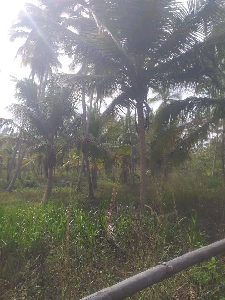 Commercial Land for Sale in Hambantota