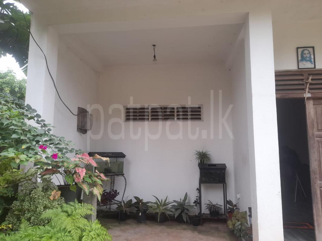House for Sale in Gampaha ads-image-1