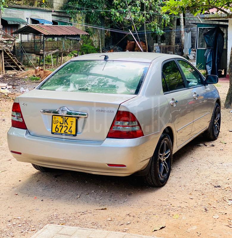 Advertisement image 4