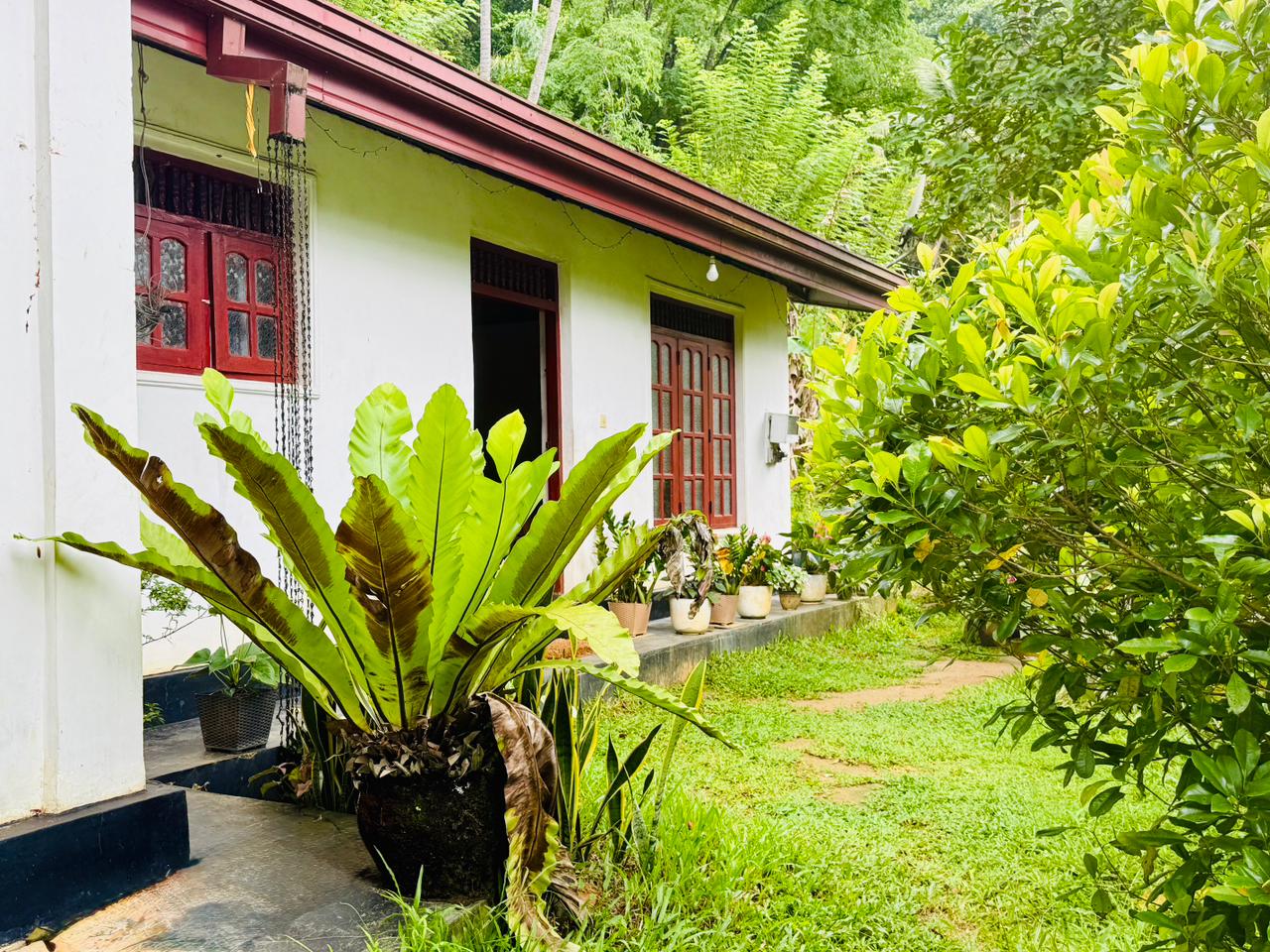 House for Sale in Matale ads-image-1