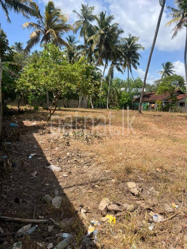 Commercial Land for Sale in Unawatuna