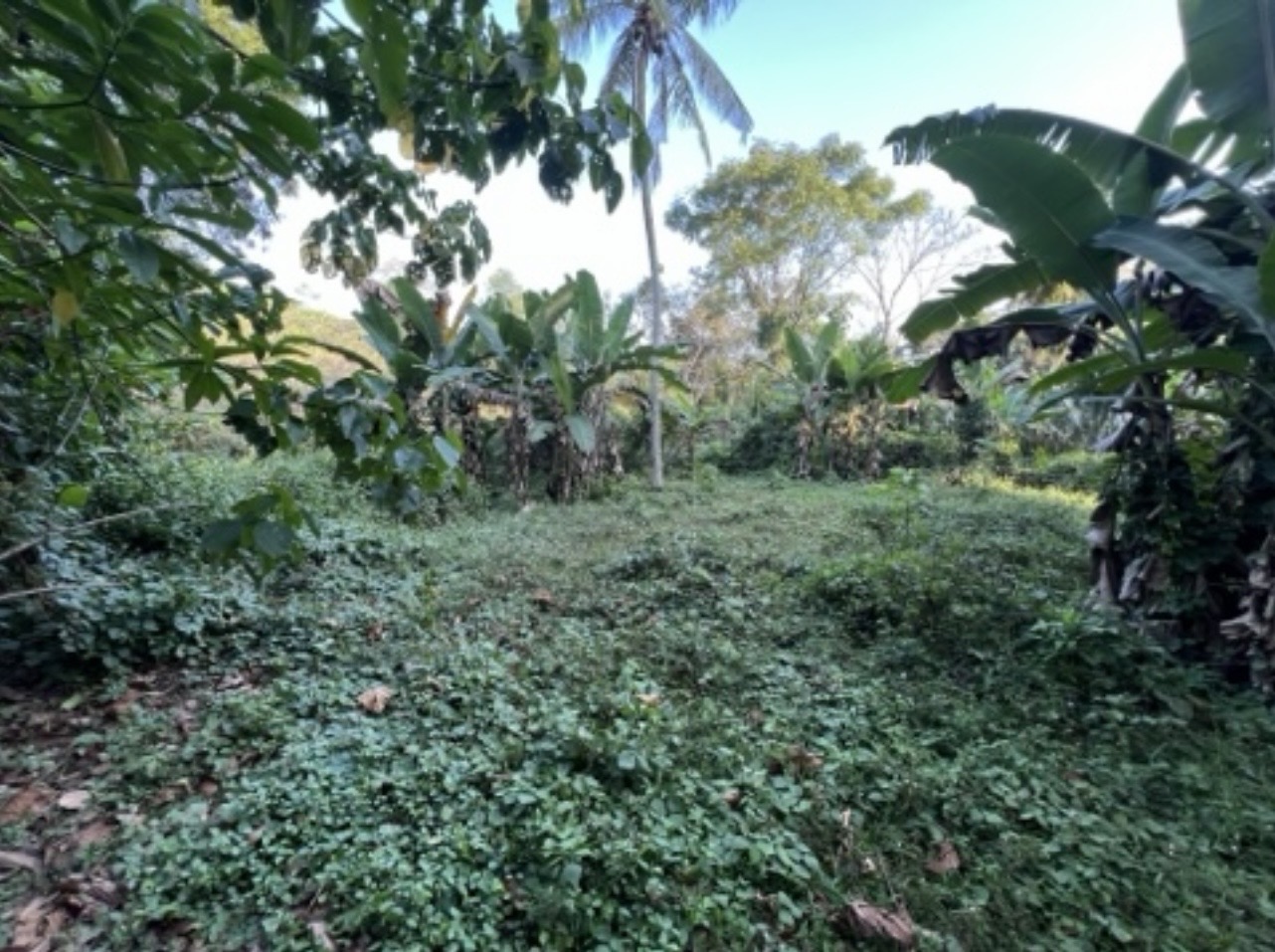 Residential Land for Sale in Kumbuka