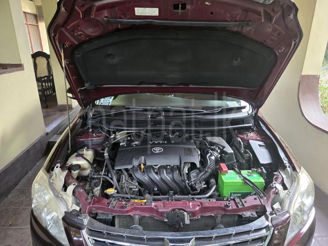 Advertisement image 3