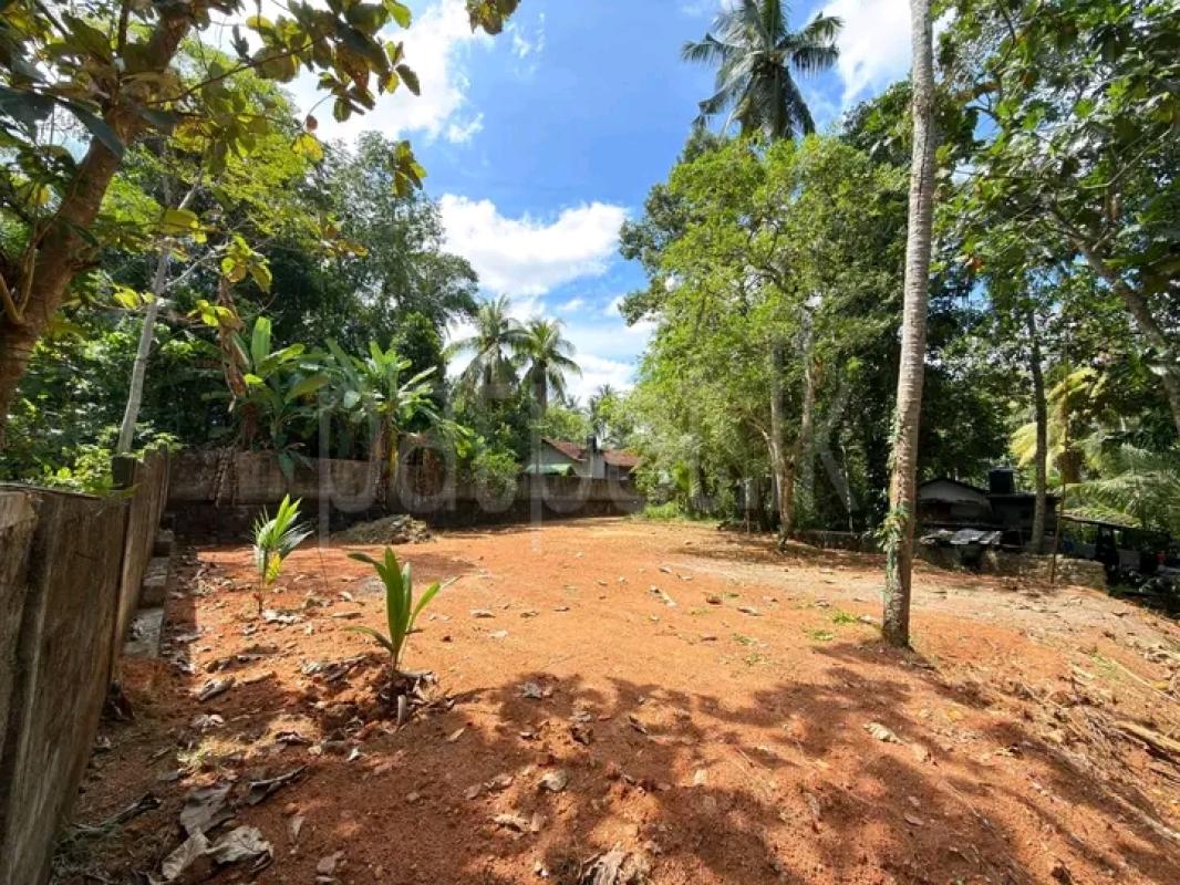 Commercial Land for Sale in Nittambuwa