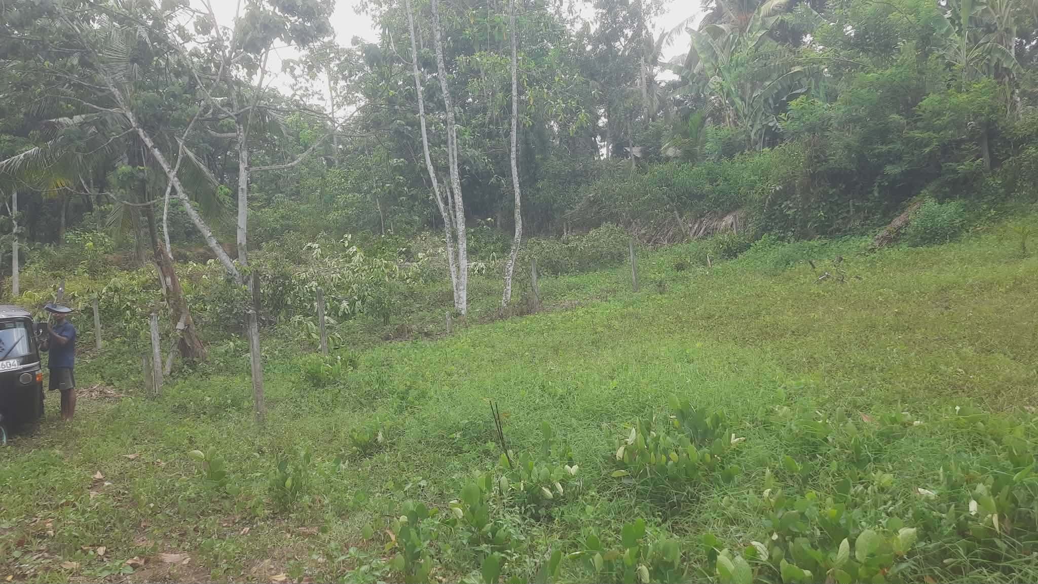 Residential Land for Sale in Homagama