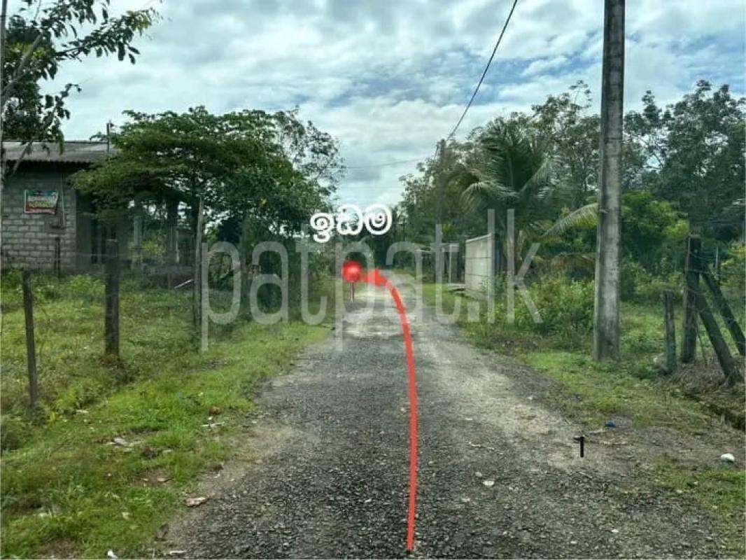 Advertisement image 1