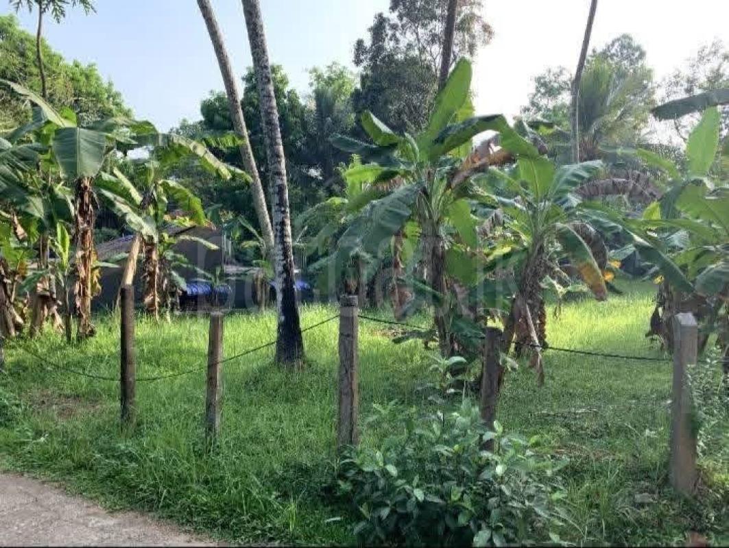 Residential Land for Sale in Delgoda